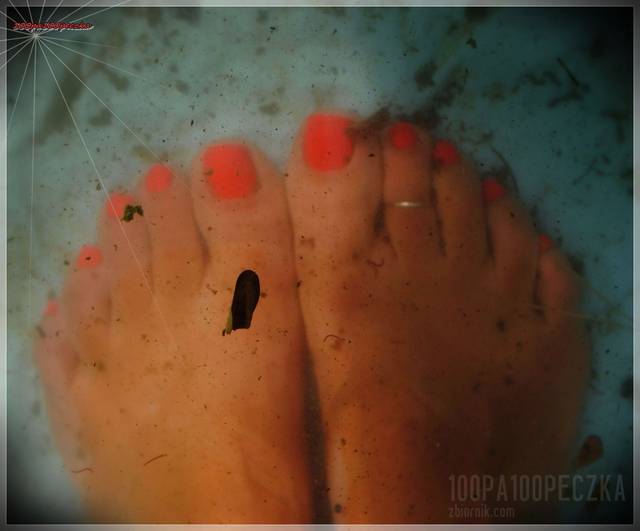 w baseniku 03 - 100pa100peczka