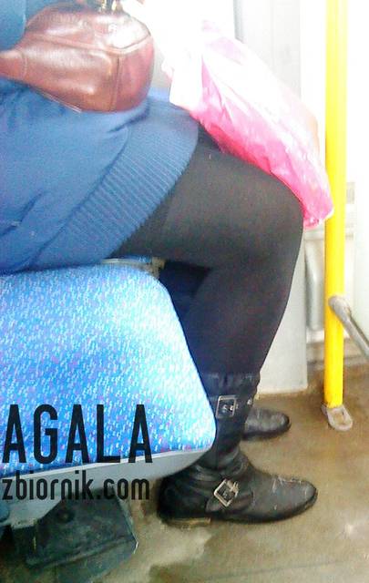 DSC01137cz.jpg - AGALA