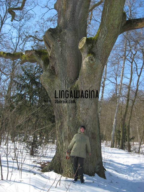 wycieczka 23.03.13 068.jpg - lingawagina