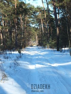 Z tej strony też zima.