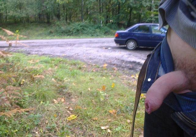 big_defab21550ee1f19da9916f253d440ec.jpg - niewiem19