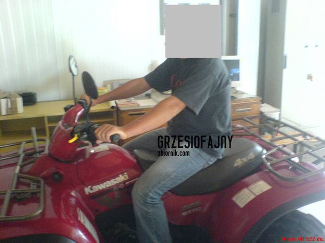 jedziemy w las - grzesiofajny