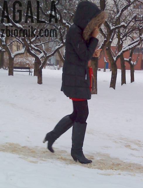 DSC01259cz.jpg - AGALA