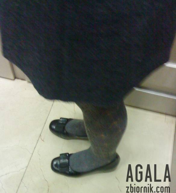 DSC01258odj.jpg - AGALA