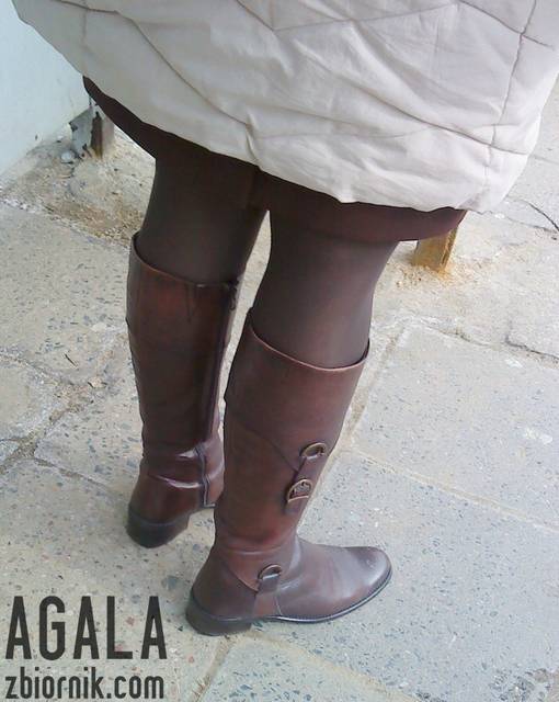 DSC01461v.jpg - AGALA