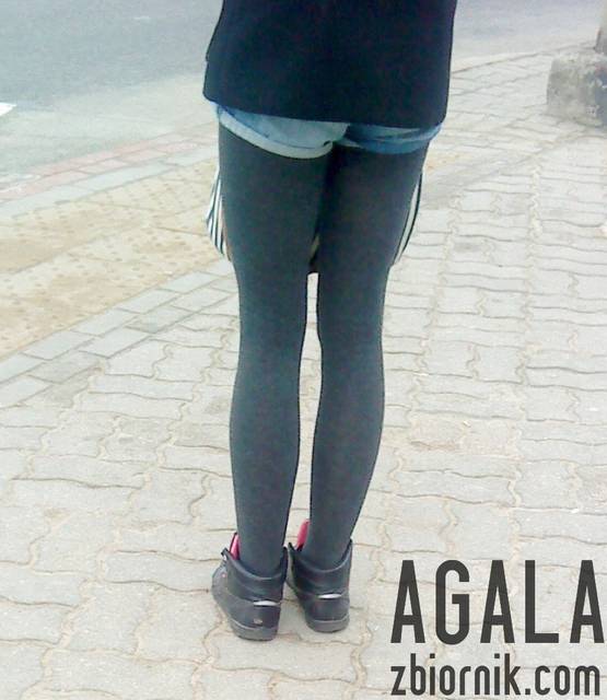 DSC01579v.jpg - AGALA