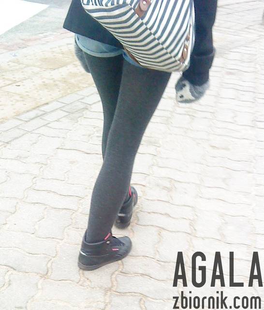 DSC01578v.jpg - AGALA