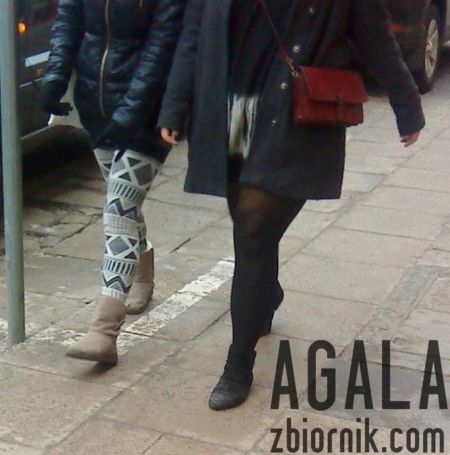 DSC01544L.jpg - AGALA