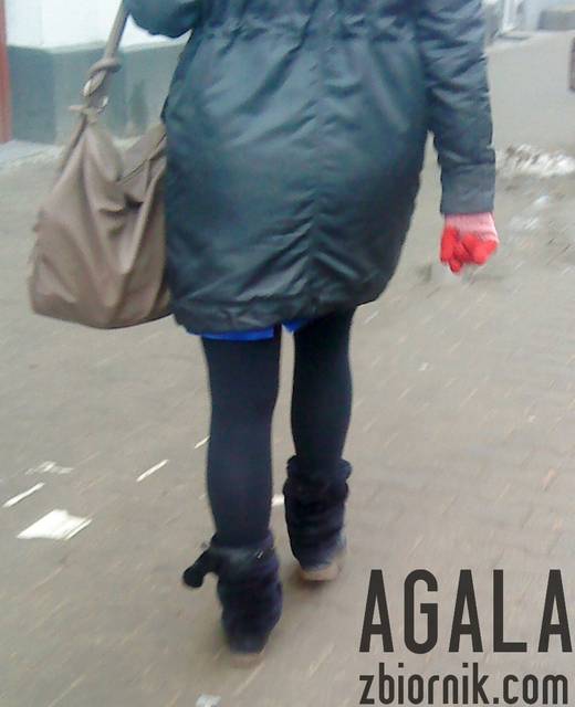 DSC01532v.jpg - AGALA