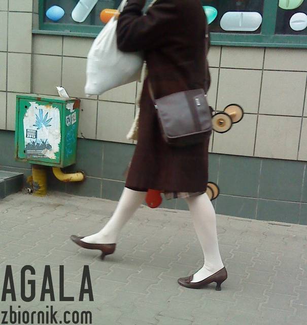 DSC01590kol.jpg - AGALA