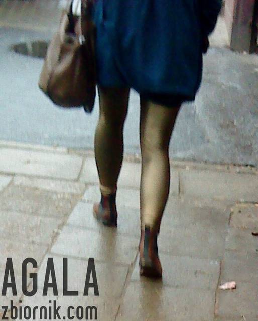 DSC01663L.jpg - AGALA