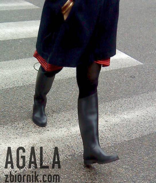 DSC01658cz.jpg - AGALA