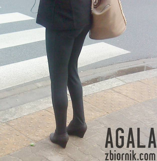 DSC01622L.jpg - AGALA