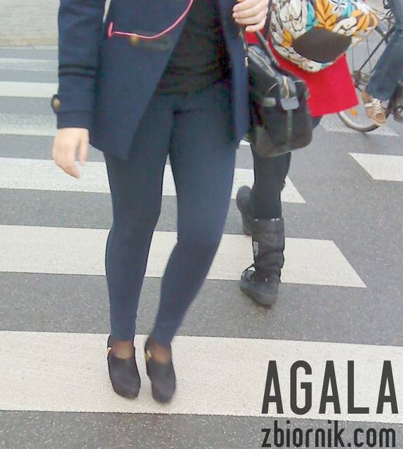 DSC01597L.jpg - AGALA