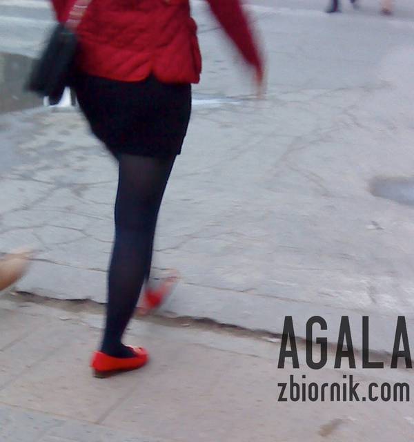 DSC01768cz.jpg - AGALA