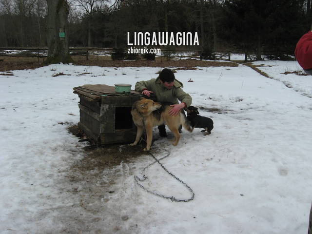 W. 14.04.13 017.jpg - lingawagina
