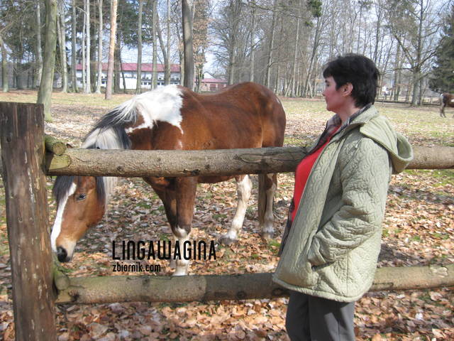 W. 14.04.13 046.jpg - lingawagina