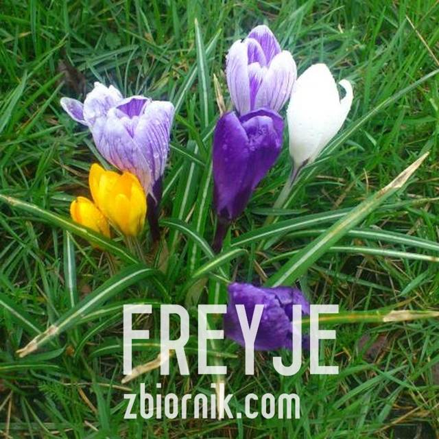 było ..... - freyje