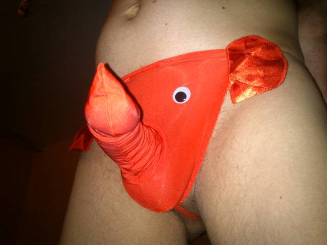 DSC_0108.JPG - parka2633parka