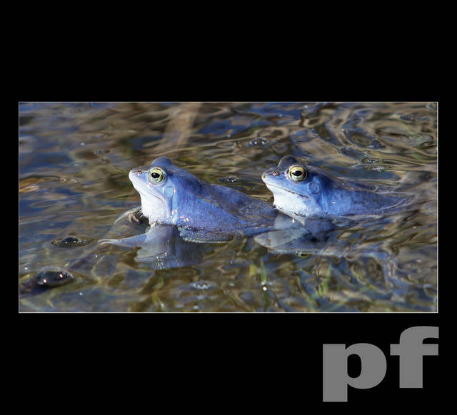 JESTEŚ MOKRA - panfoto