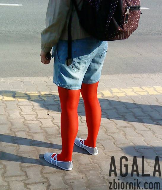 DSC01920kol.jpg - AGALA