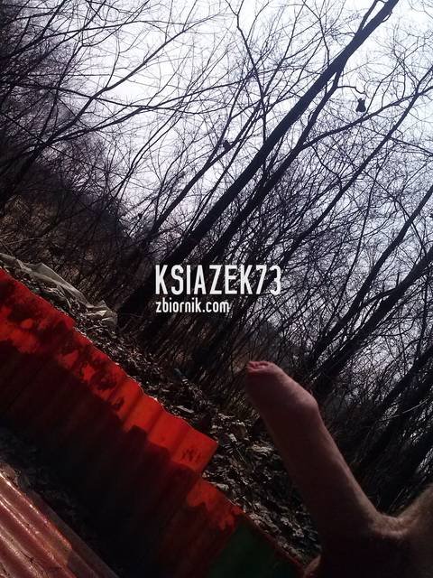 w lasku - ksiazek73