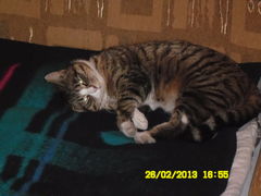 SAM_0119.JPG