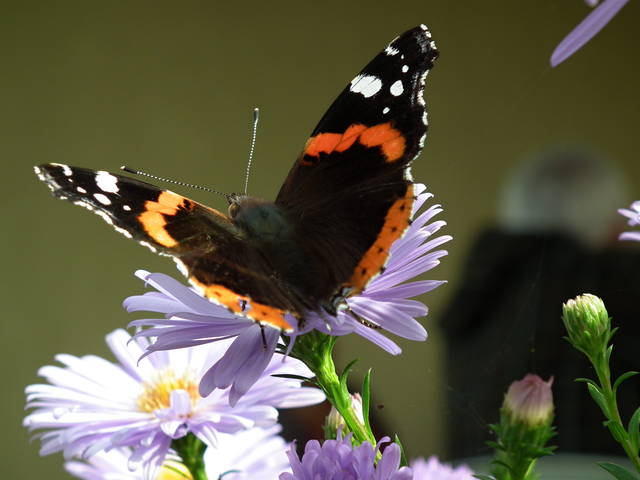 ... w odwrocie - NauczeCieLatac