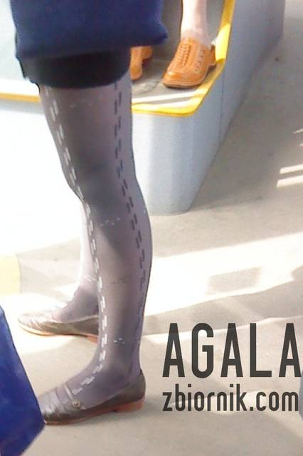 DSC02109odj.jpg - AGALA