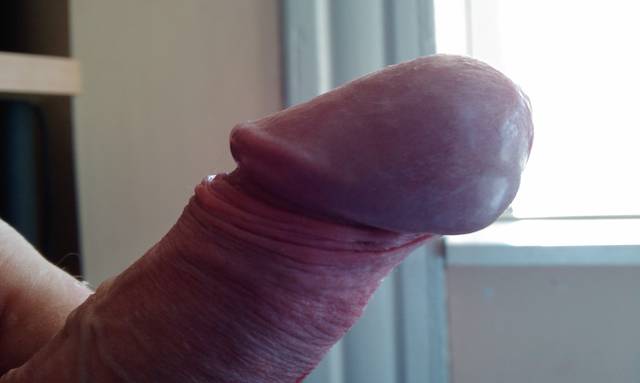 IMAG0115.2.jpg - ny39