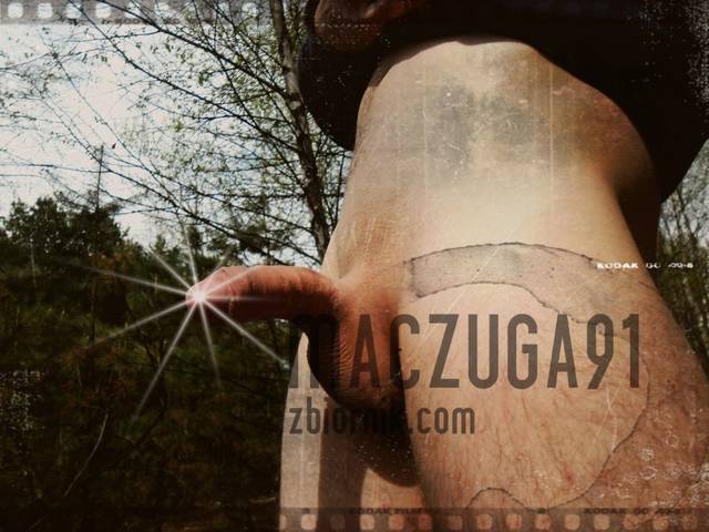 maczuga91