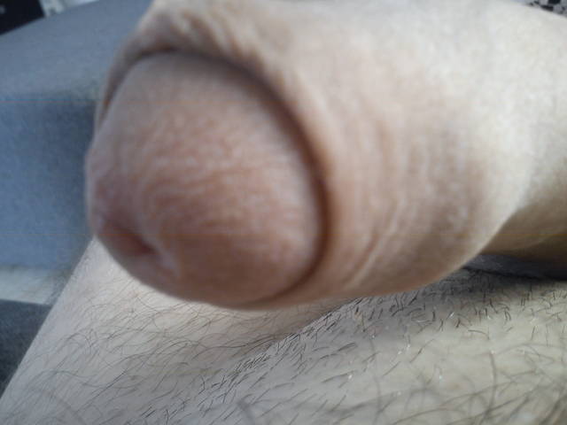 DSC00129.JPG - robin266