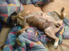 no to macie jajka i wacka ;)