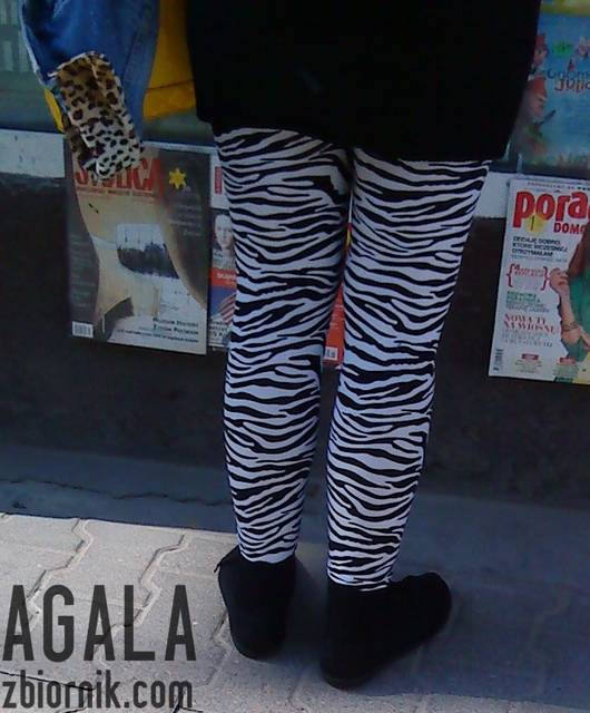 DSC02217L.jpg - AGALA