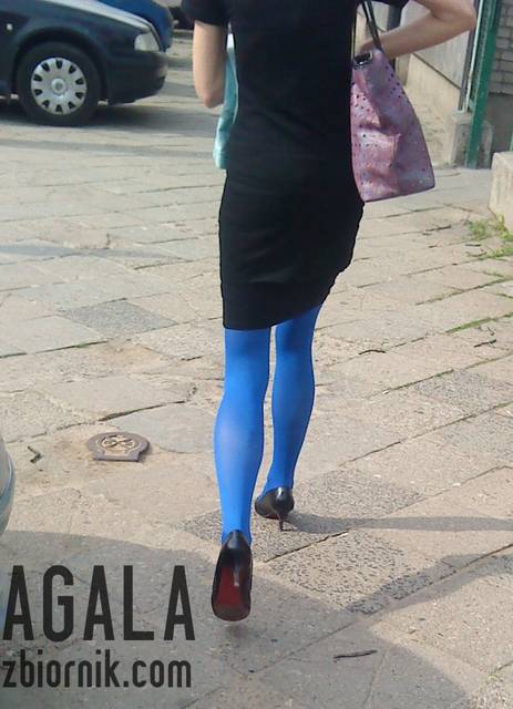 DSC02349kol.jpg - AGALA