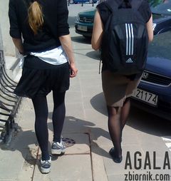 DSC02342cz.jpg
