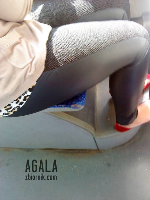 DSC02338L.jpg - AGALA