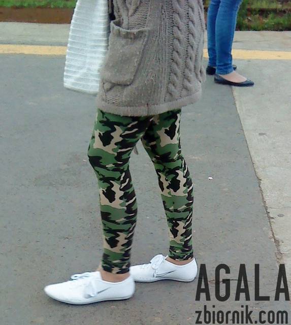 DSC02451L.jpg - AGALA