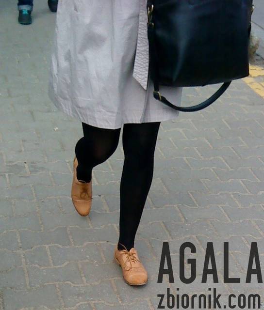 DSC02437cz.jpg - AGALA