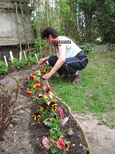 W. 12.05.13 002.jpg - lingawagina