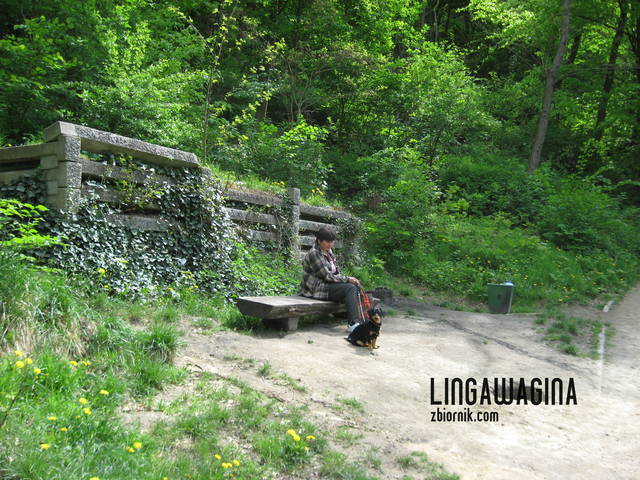 W. 12.05.13 015.jpg - lingawagina