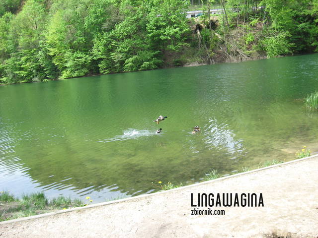 W. 12.05.13 018.jpg - lingawagina