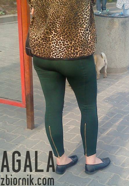 DSC02486L.jpg - AGALA