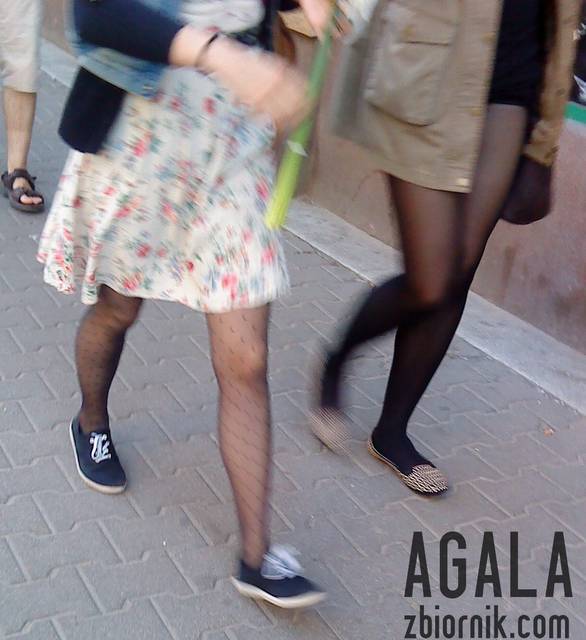 DSC02513odj.jpg - AGALA