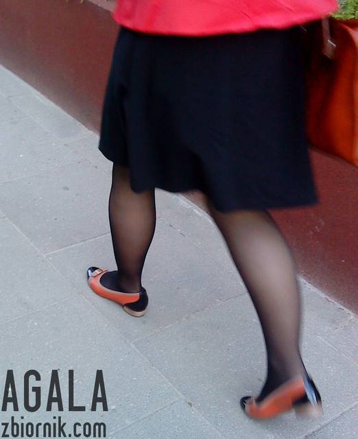 DSC02502cz.jpg - AGALA