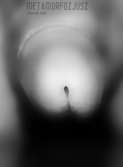DSC_1357e.jpg