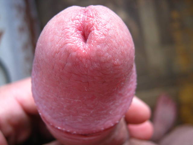 Obraz 006.jpg - gregoricox