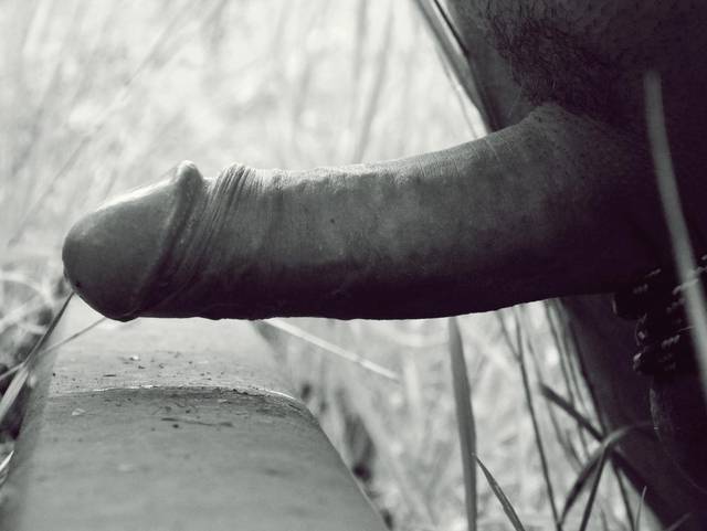 100B0610_1597x1200.jpg - krzysiek343