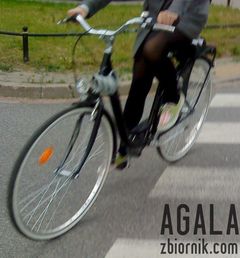 DSC02718cz.jpg