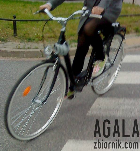 DSC02718cz.jpg - AGALA